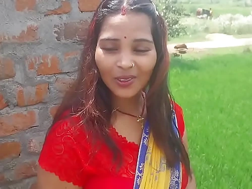 Desi bhabhi and spouse utter intercourse video